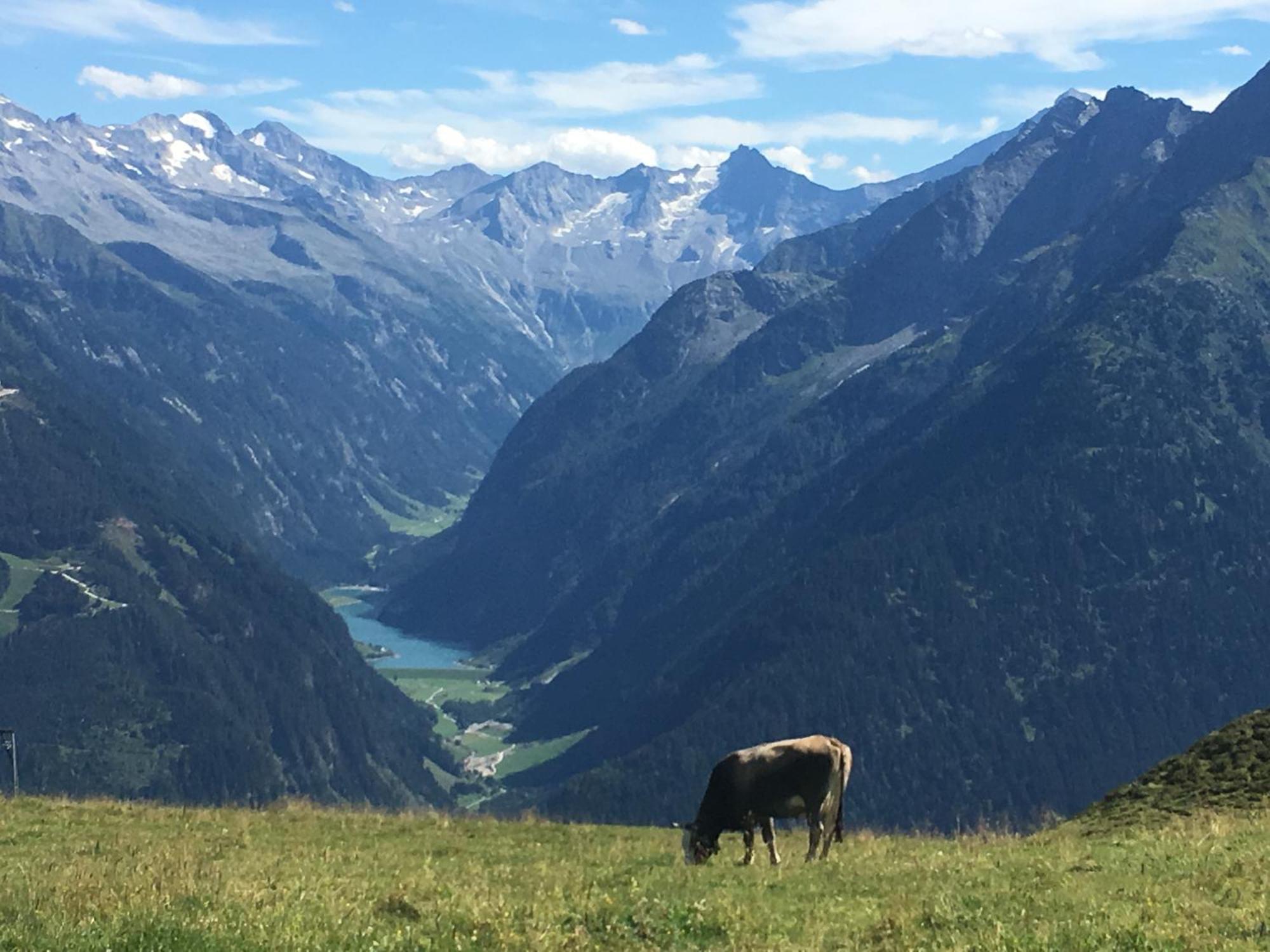 Landhaus Katharina Bis 12 Personen Mit Saunachalet Und Blick Auf Die Bergwelt Des Zillertals Hippach Esterno foto